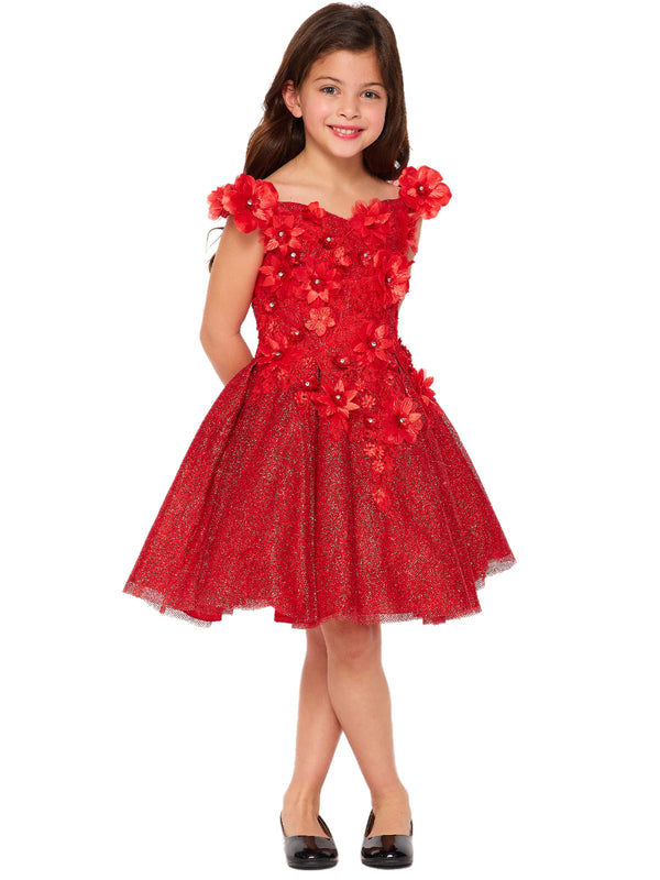 Bliss Little Girls Red 3D Floral Applique Flower Girl Dress 2-6 - SophiasStyle.com